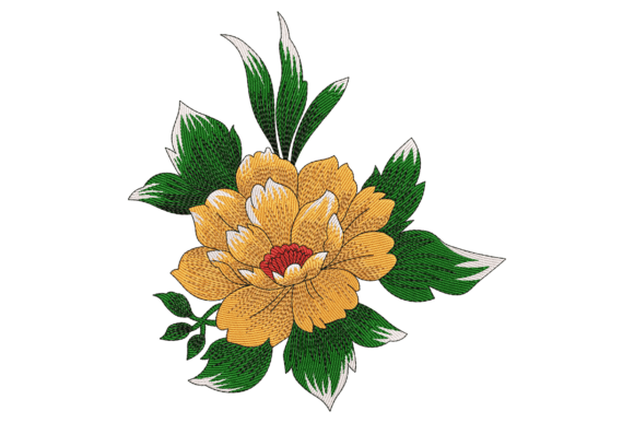 Bold Orange Peony