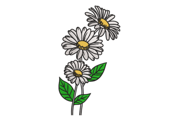 Sketch Daisy Trio – Modern Botanical